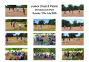 Family Picnic collage